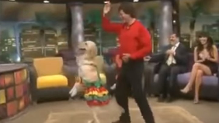 Собака танцует индийский танец! Вот это да!!!