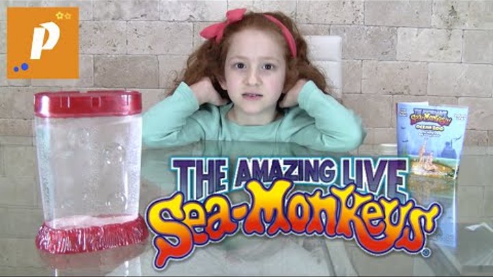 Распаковка необычной посылки с морскими обезьянами Unboxing sea monkeys морские обезьяны