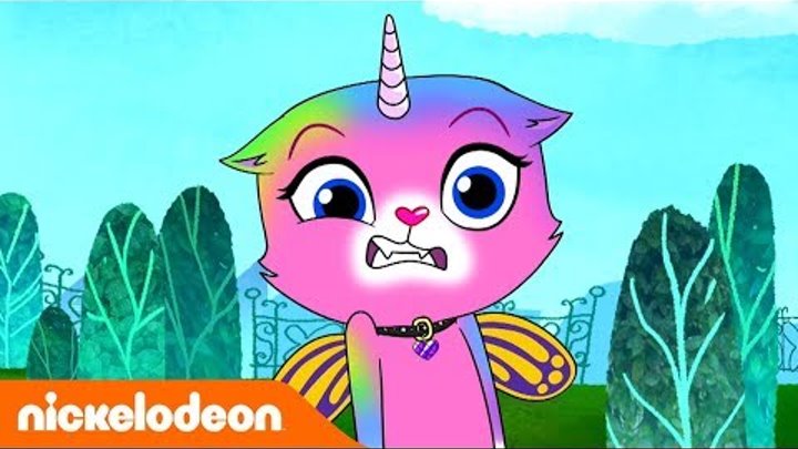 Радужно-бабочково-единорожная кошка | Тренируйся с Фелисити | Nickelodeon Россия