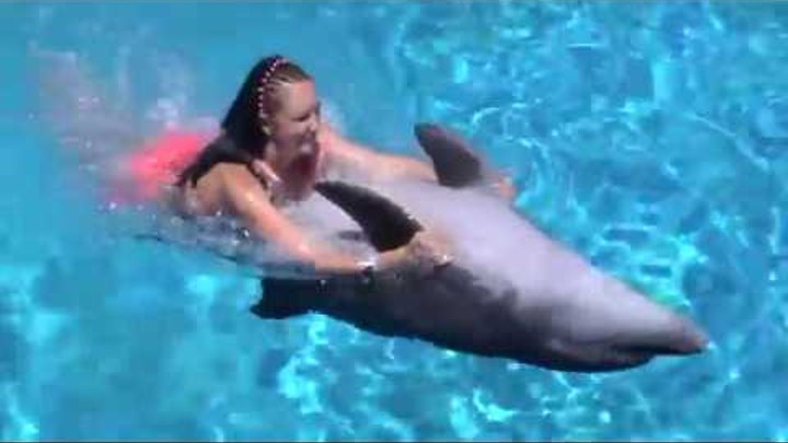 В бассейне с дельфином