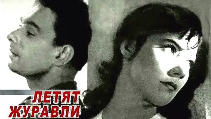 Летят журавли (1957) СССР драма, мелодрама, военный