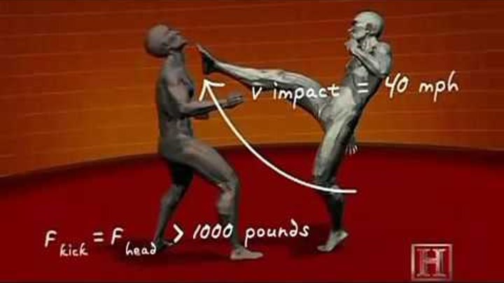 Обучение правильные удары ногами руками комбинации MMA, Kung Fu and sambo