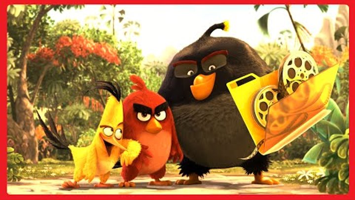 Энгри Бердс в Кино Факты / Angry Birds ♛ 2016