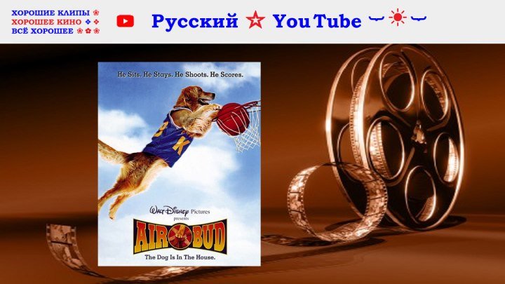Король воздуха ⋆ Air Bud ⋆ США Канада 1997 ⋆ Русский ☆ YouTube ︸☀︸