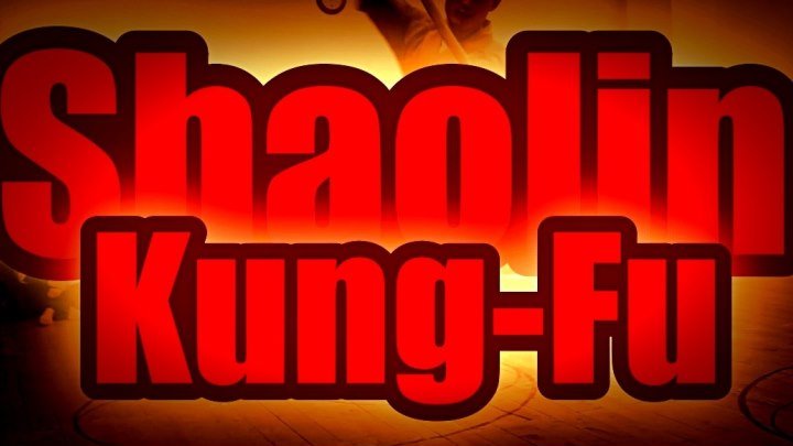 Shaolin. Кунг-фу. Мастер из Китая. Показательные выступления в Школе Цигун и Кунг-фу Шаолиня мастера Ши Янбина.