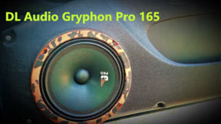 Замена динамиков в НИВЕ на DL Audio Gryphon Pro 165 .