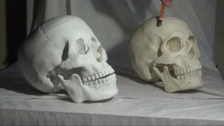 Уроки скульптуры и рисунка: изучение черепа человека, часть 2