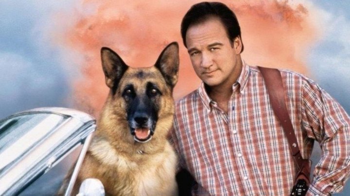 К-911: Собачья работа 2 (криминальная комедия с Джеймсом Белуши) | США, 1999