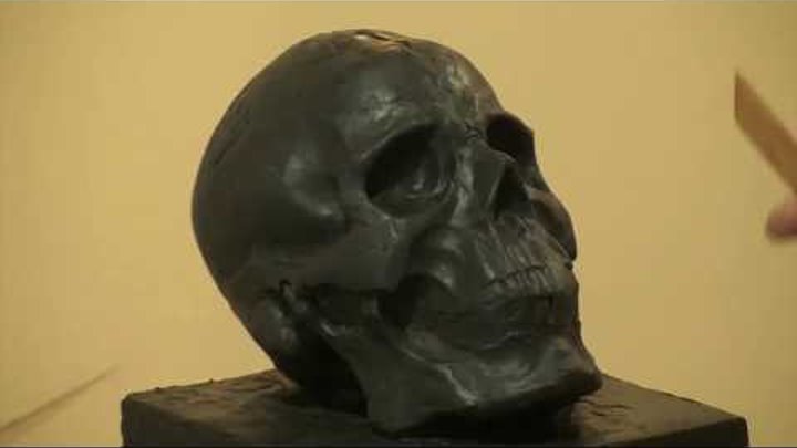 Уроки скульптуры и рисунка: завершение лепки черепа человека.