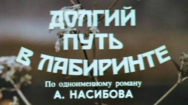 Советский сериал «Долгий путь в лабиринте» (1981)