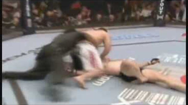 'GOING IN FOR THE KILL' MMA KNOCKOUTS HIGHLIGHT UFC PRIDE WEC UCUK CAGE RAGE K1 KO HD 2010