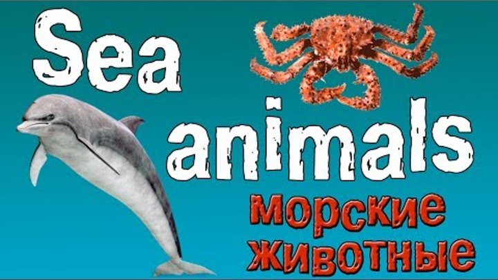 Английский для детей. Животные на английском языке.(морские животные).