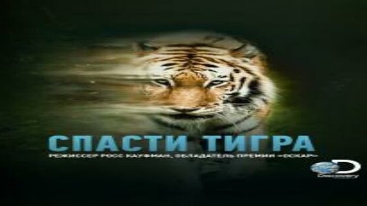 Спасти тигра смотреть онлайн, Документальные 2019