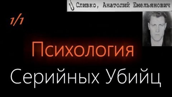 Психология серийных убийц (1/1) - Сливко Анатолий Емельянович