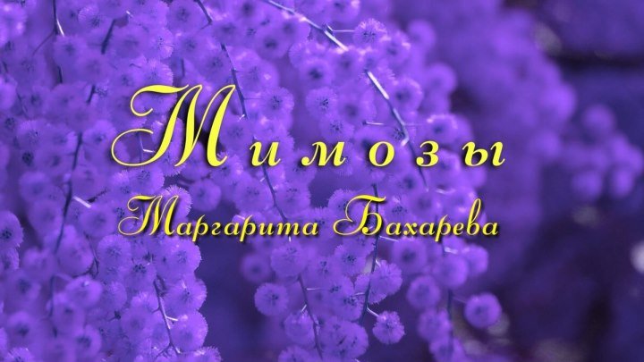 Премьера песни "МИМОЗЫ" ballada vers Маргарита Бахарева