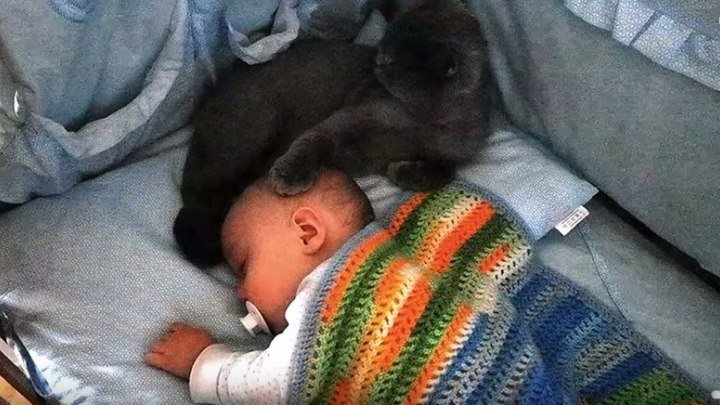 Кошка гладит и убаюкивает малыша в его кроватке