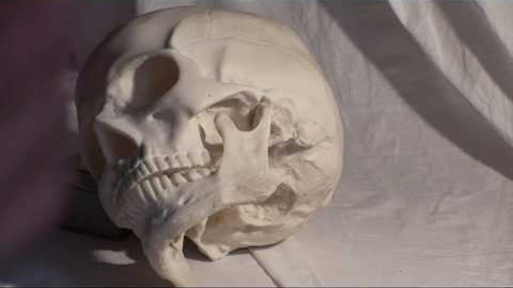 Уроки скульптуры и рисунка: рисунок черепа человека, часть 3