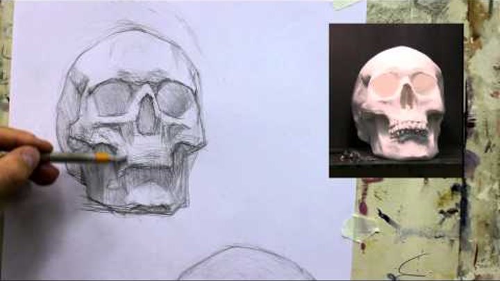 Обучение рисунку. Портрет. 20 серия: рисунок черепа в 2 ракурсах, 2 часть.