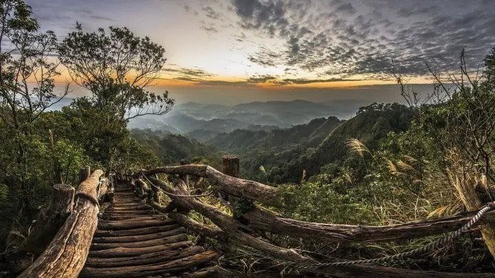 Дикая природа Тайваня: остров джунглей - Документальный