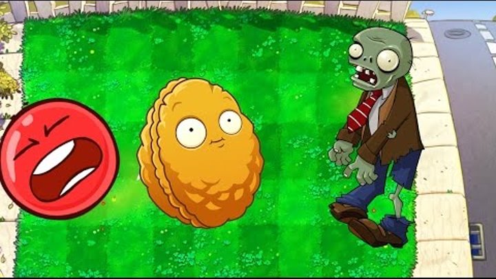 КРАСНЫЙ ШАР НАПАЛ НА ЗОМБИ ПРОТИВ РАСТЕНИЙ Яркокрасный Шарик Plants vs zombies Red Ball 4 Мультик .