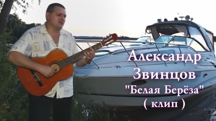 Александр Звинцов - Белая берёза / клип