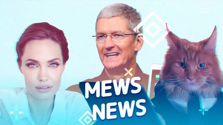 Mews News. Кот-путешественник, Анджелина Джоли и новый iPad