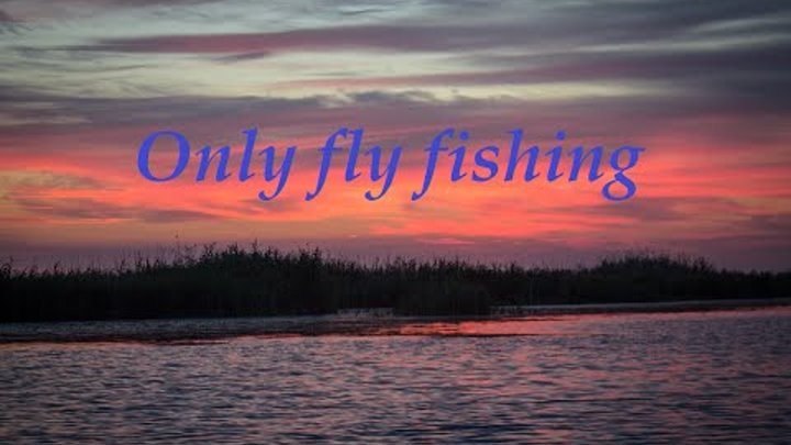 Only fly fishing-Ловля окуня (Весёловское водохранилище )