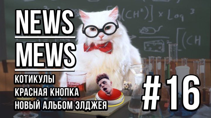 News Mews #16. КотоКаникулы, Элджей, Крид
