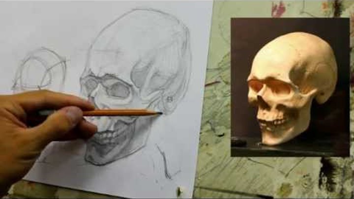 Обучение рисунку. Портрет. 19 серия: рисунок черепа в 2 ракурсах, 1 часть.