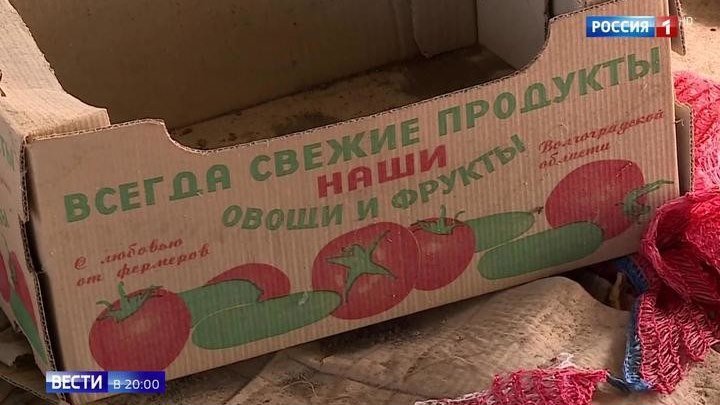 В Волгоградской области обнаружили подпольную ферму