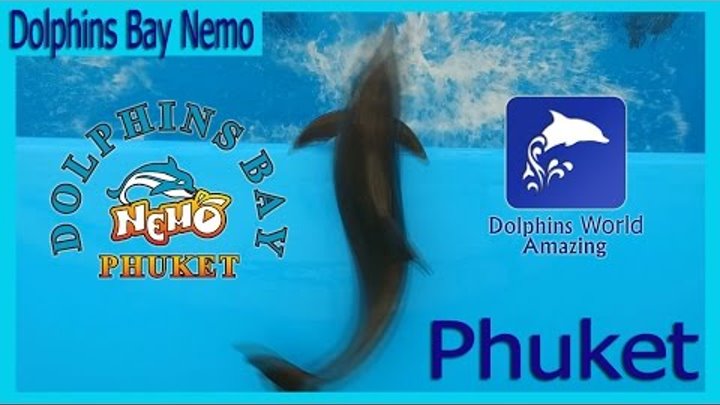 Dolphinarium Nemo Phuket Dolphins Bay.Дельфинарий Пхукет