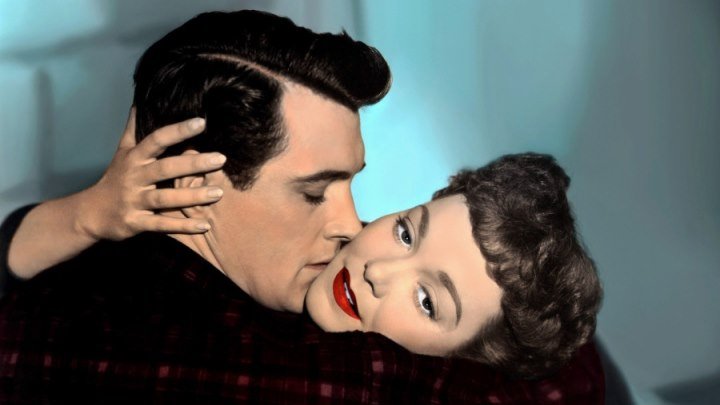 Все, что позволяют небеса (романтическая драма от режиссера фильма «Великолепная одержимость» Дугласа Сирка с Джейн Уаймен, Роком Хадсоном и Агнесой Мурхед) | США, 1955