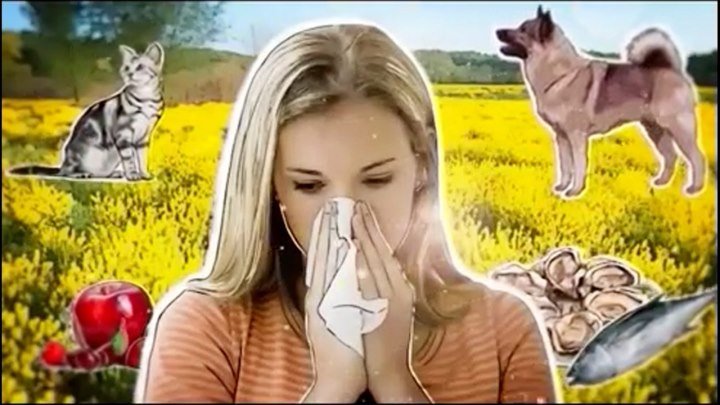 Раскрывая тайны - Аллергия