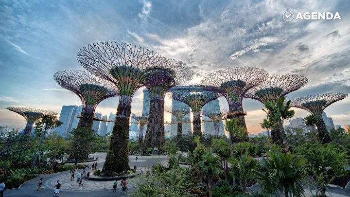 Сад в Сингапуре