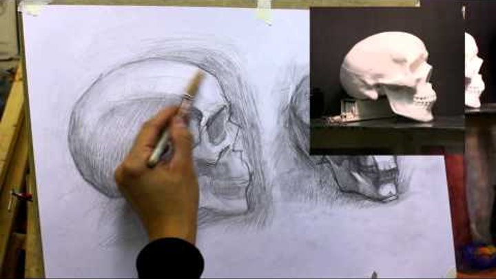 Обучение рисунку. Портрет. 21 серия: рисунок черепов - разбор полетов
