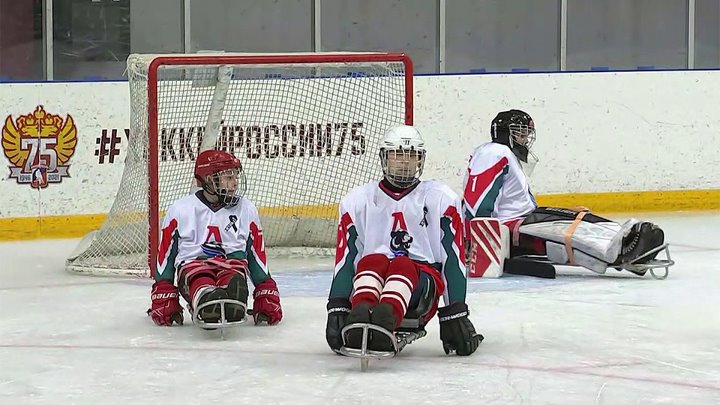 В Ярославле проходят соревнования по следж-хоккею. Новости. Первый канал