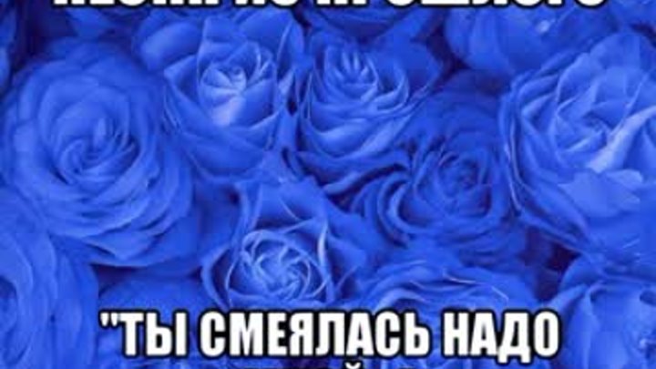 Синие розы текст песни. Я просила на свидание синих роз. Ты смеялась надо мной я просила на свидание синих. Свидание синих роз. Смеются надо мной.