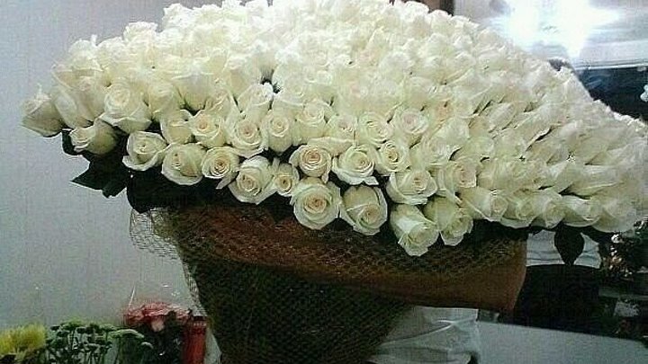 Я дарил тебе розы белые