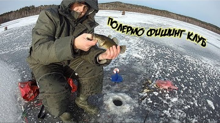 Открытие сезона твердой воды 2018-2019 на озере Семискуль, ловля ротана