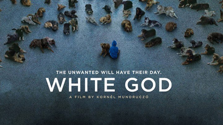 "Белый Бог / Fehér isten"