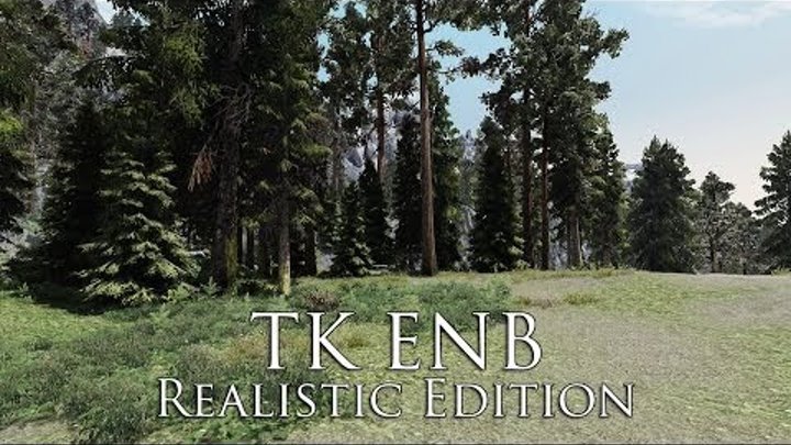 TES V - Skyrim Mods: TK ENB Realistic Edition