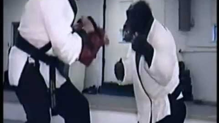 Karate Chimp Punches And Kicks