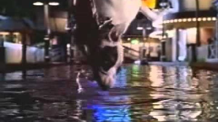 Бэйб: Поросенок в городе / Babe: Pig in the City (1998) trailer