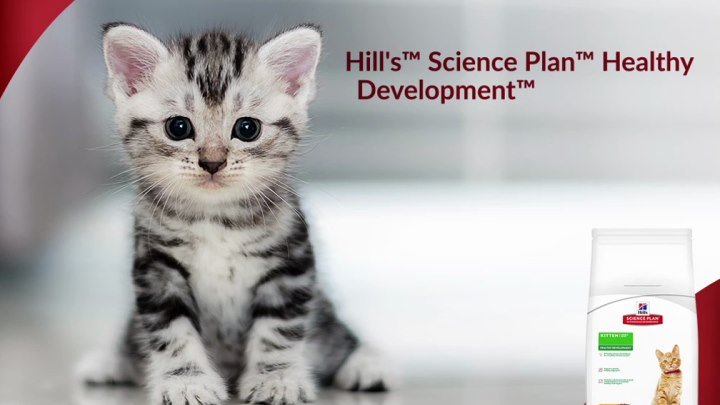Hill’s™ Science Plan™ Healthy Development™