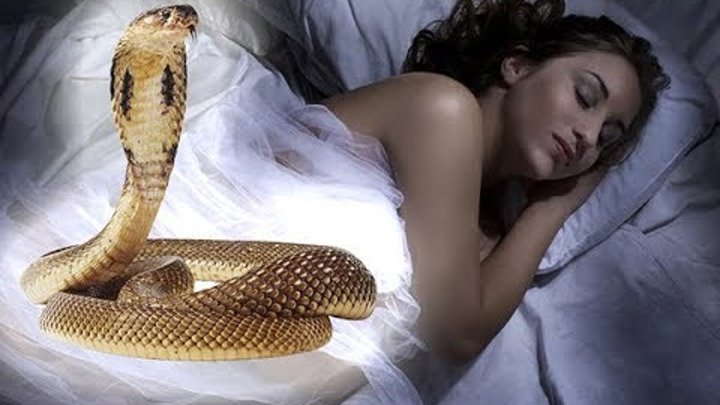 Две змеи во сне