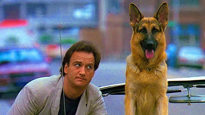 К-9: Собачья работа - (1989) Комедия, боевик, криминал.
