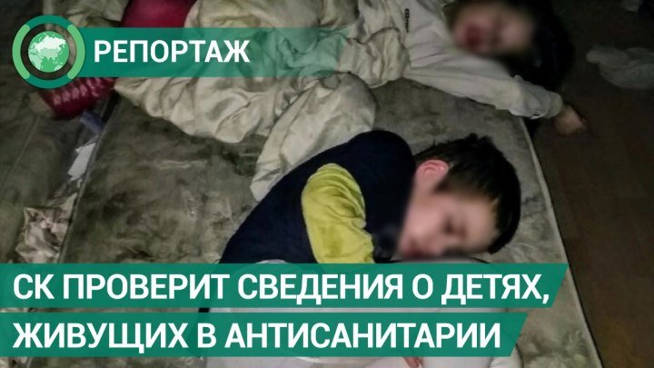 СК проверит сведения о четверых детях, живущих с антисанитарии. ФАН-ТВ