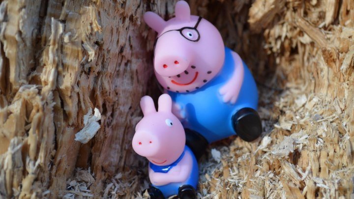 Peppa Pig свинка Пеппа и ее семья Мультфильм для детей. Играем в парке