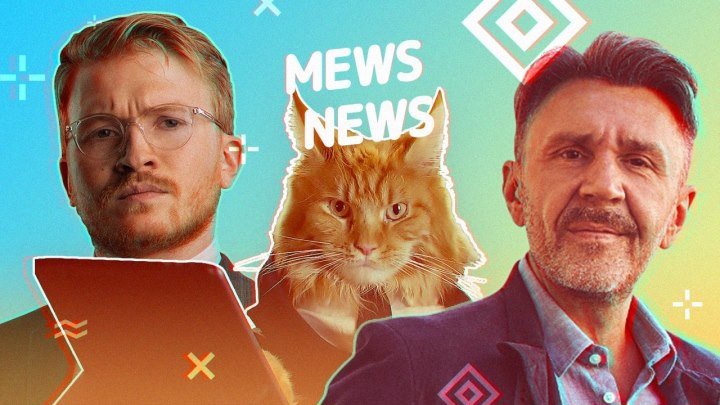Mews News | Поперечный, Шнуров, кот за 10 млн.