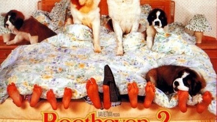 Супер семейная комедия _ Бетховен 2 (1993)Жанр: Мелодрама, Комедия, Семейный. Слоган: "И вновь семья Ньютонов испытывает все «радости» собачьей жизни.".